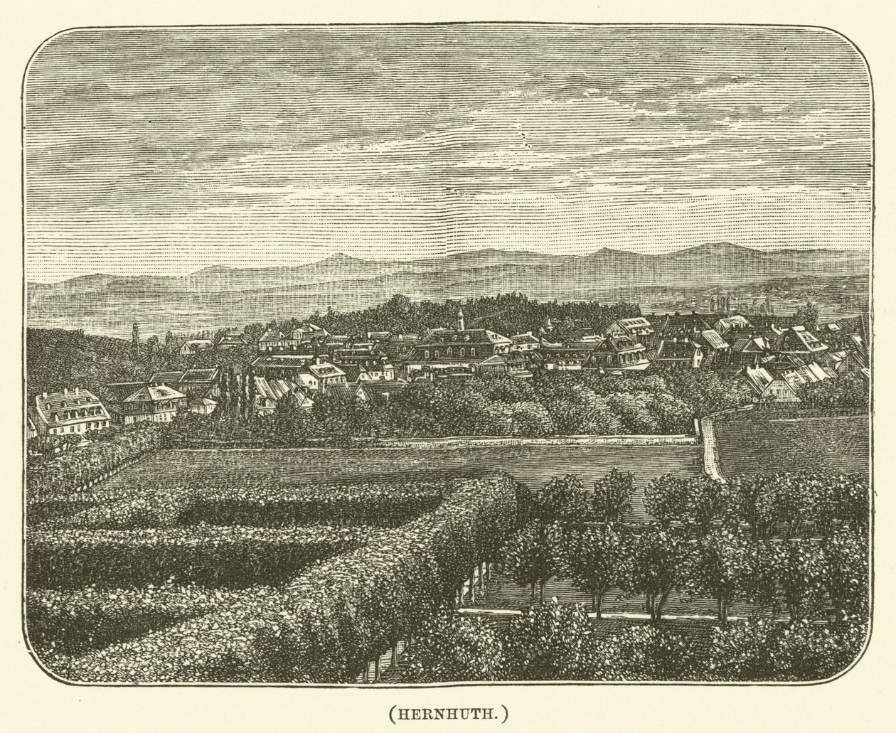 Hernhuth (gravure) door English School