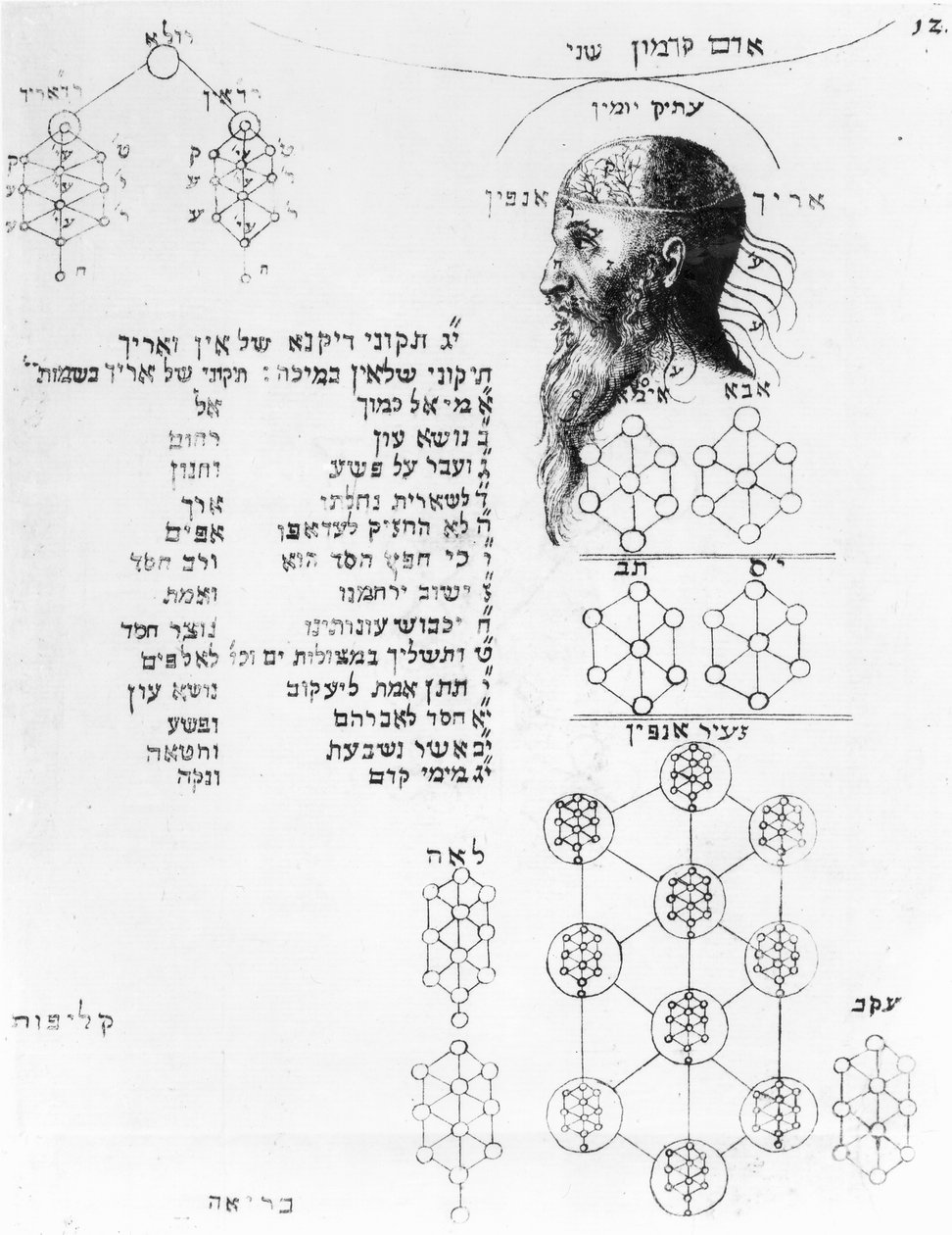 Joods manuscript dat frenologie illustreert door English School
