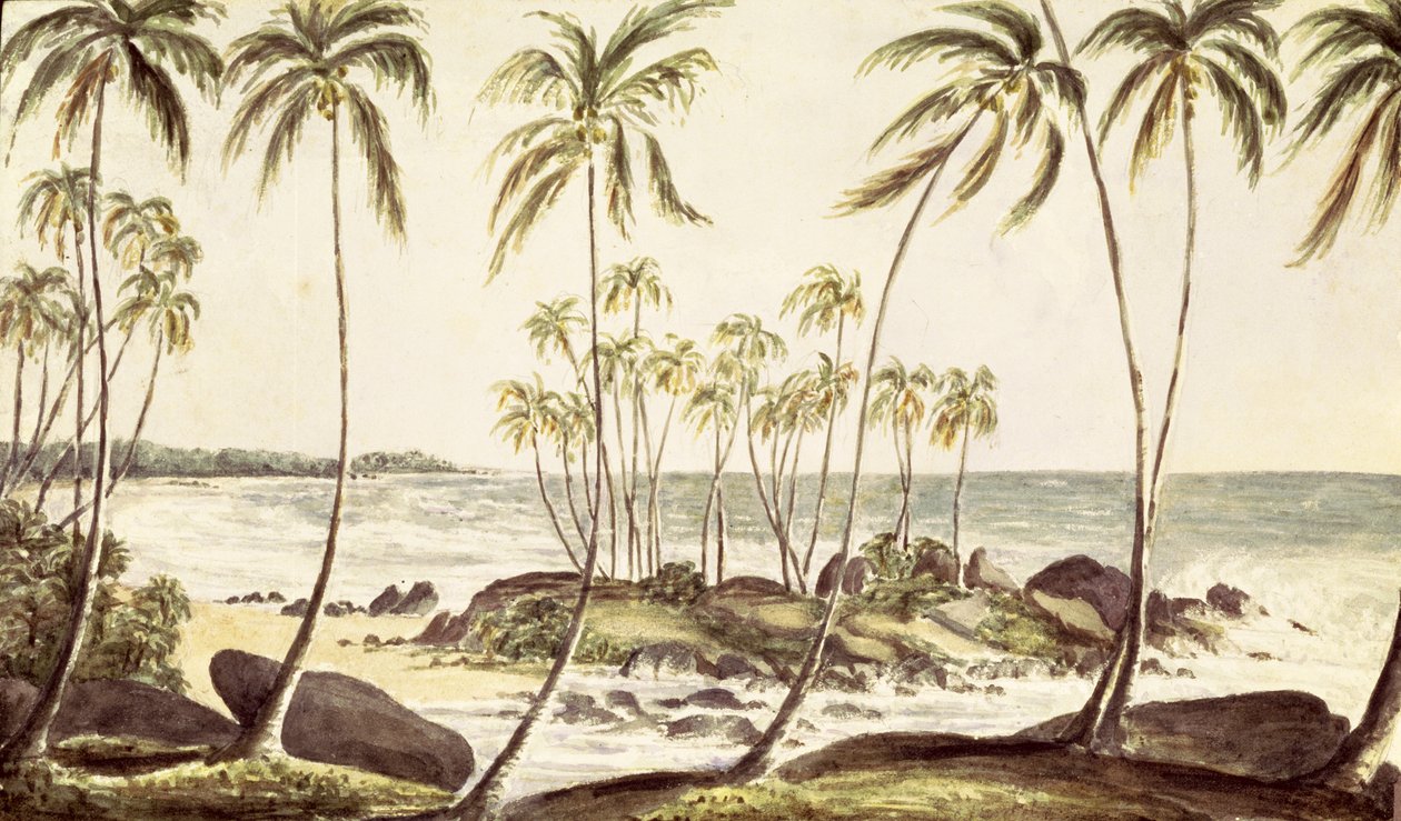 Kosgoda Strand, Ceylon, c.1835 door English School