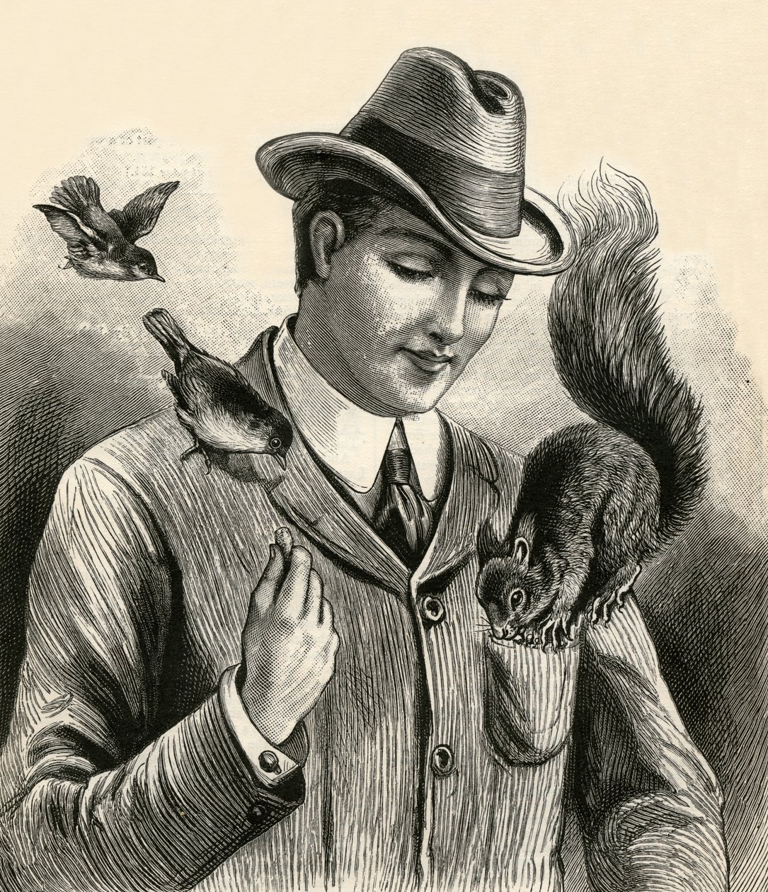 Man die een eekhoorn en vogels voedt door English School