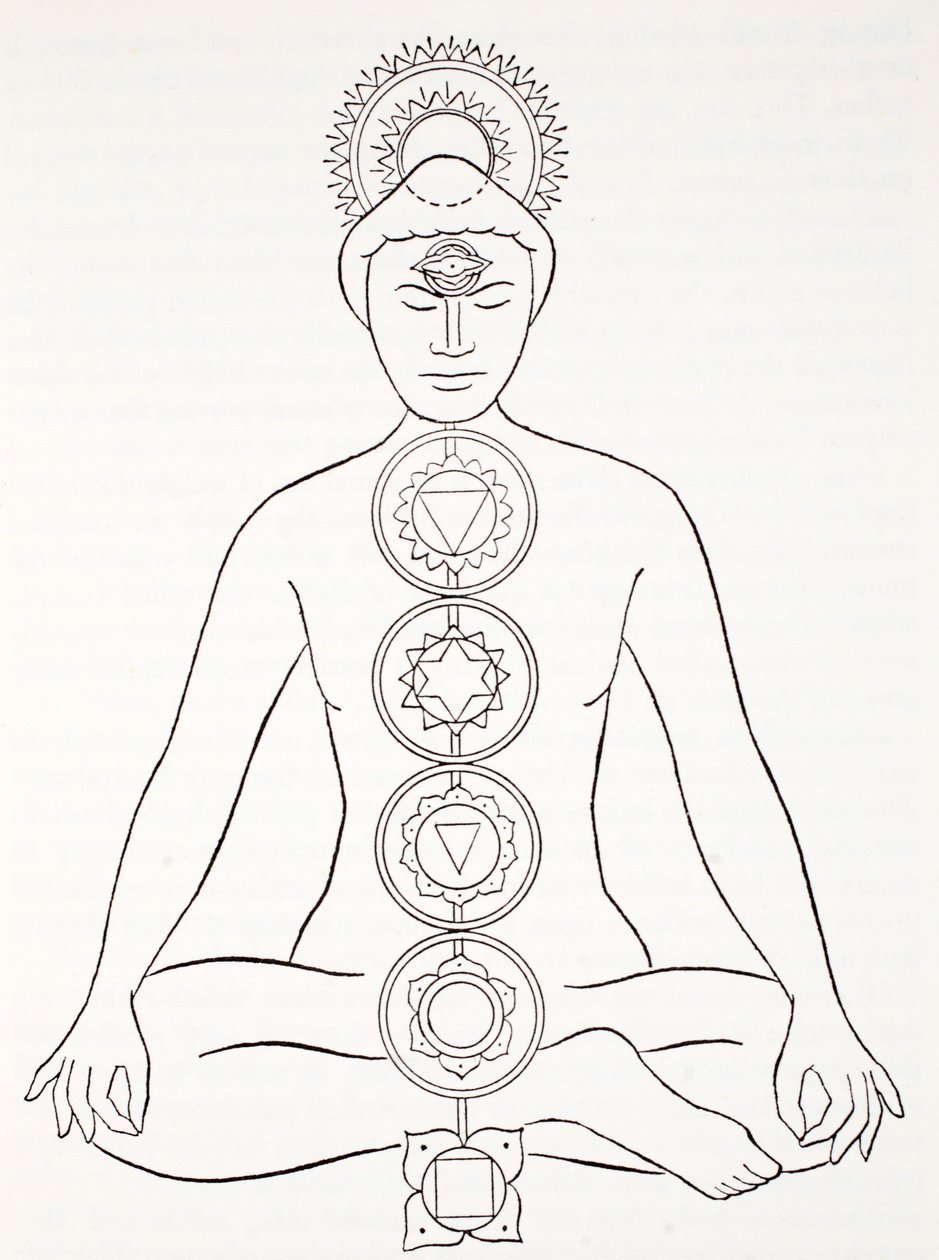 Padmasana of lotushouding door English School