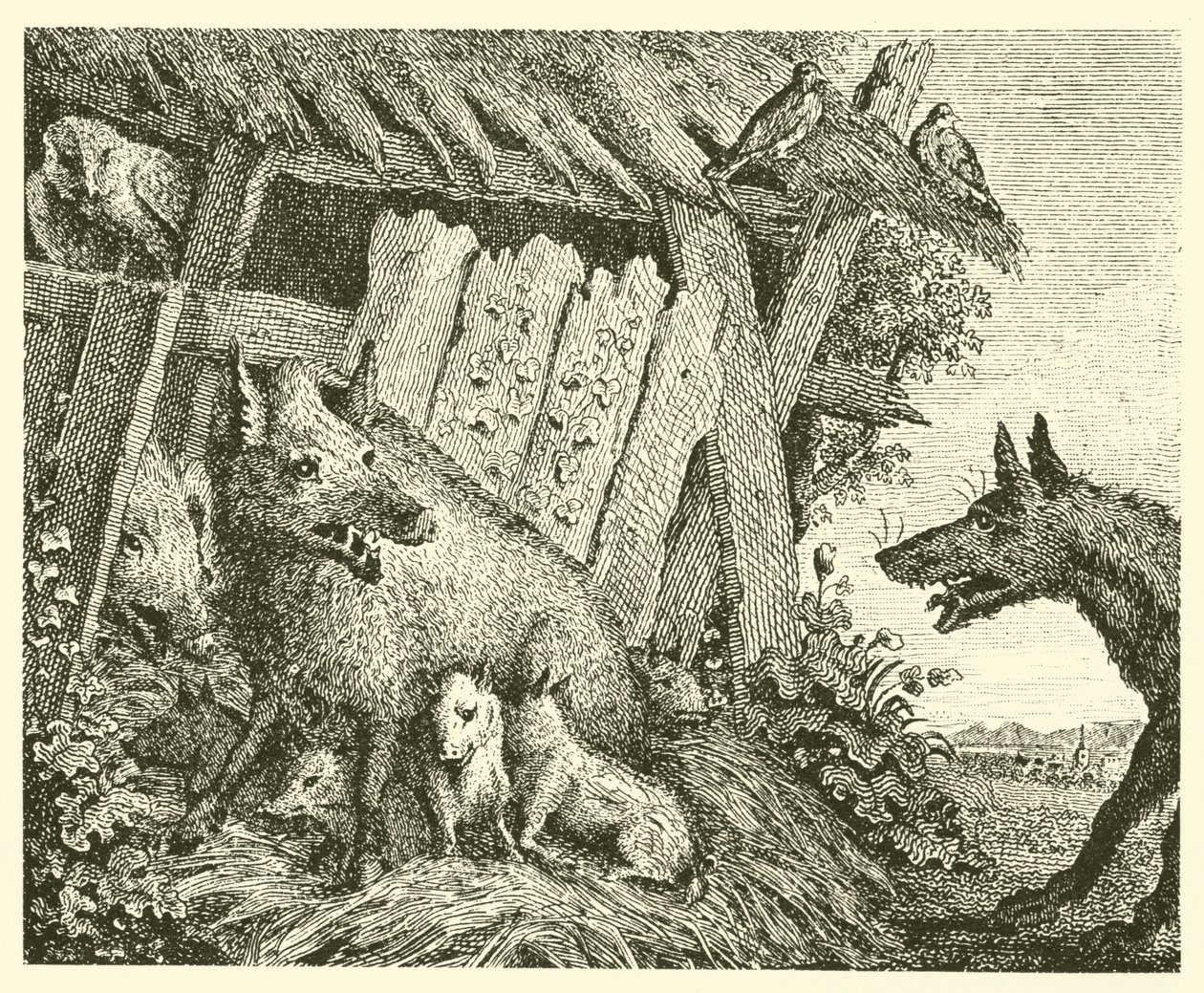 De zeug en de wolf (gravure) door English School