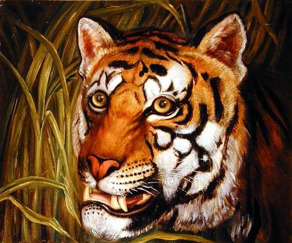 Tijger, tijger brandend fel... door English School