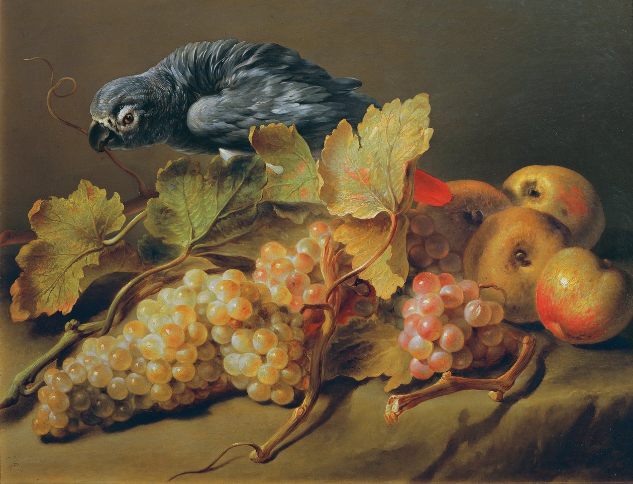 Stilleven met papegaai en druiven door Erasmus von Engert