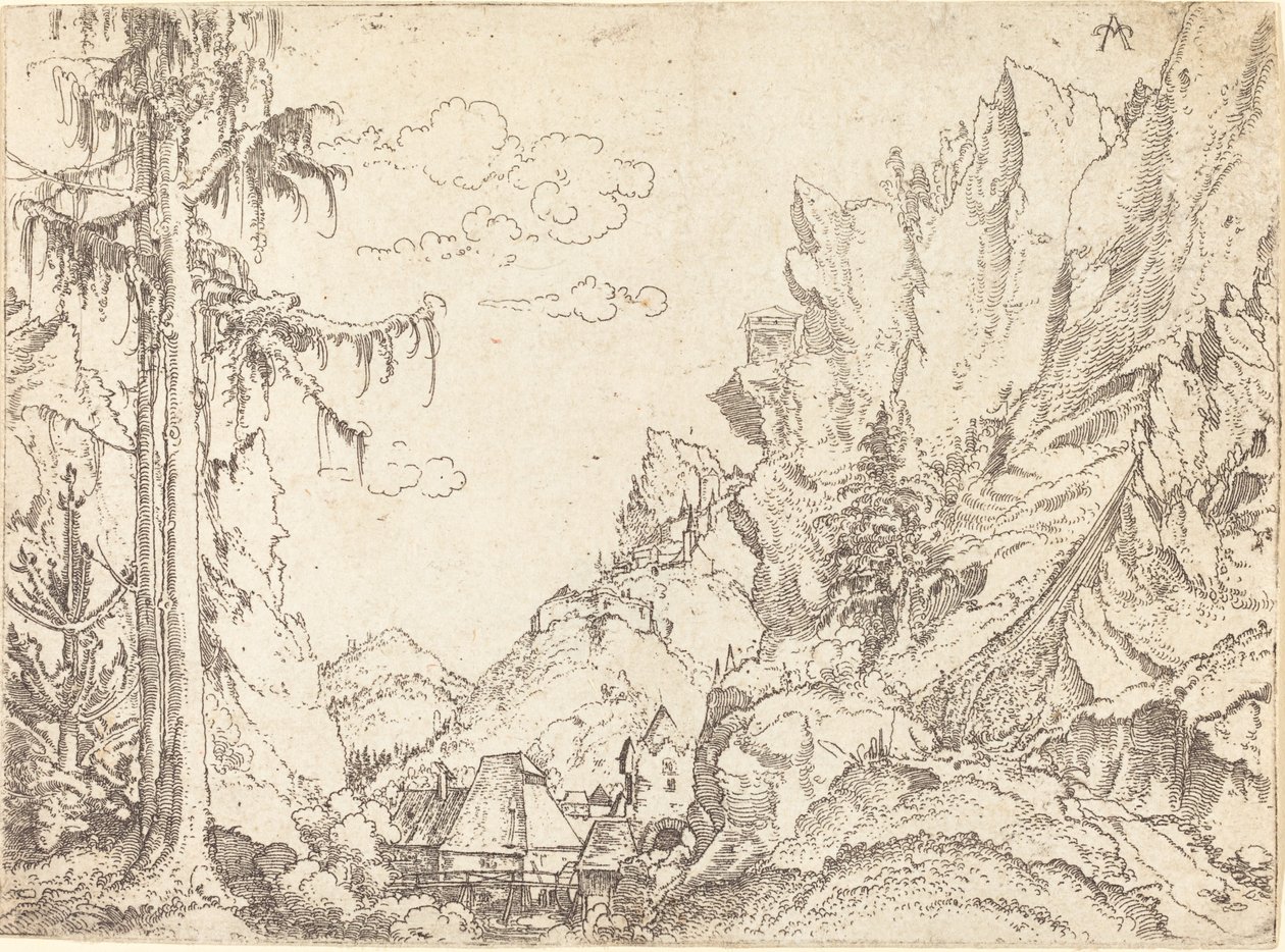Berglandschap door Erhard Altdorfer