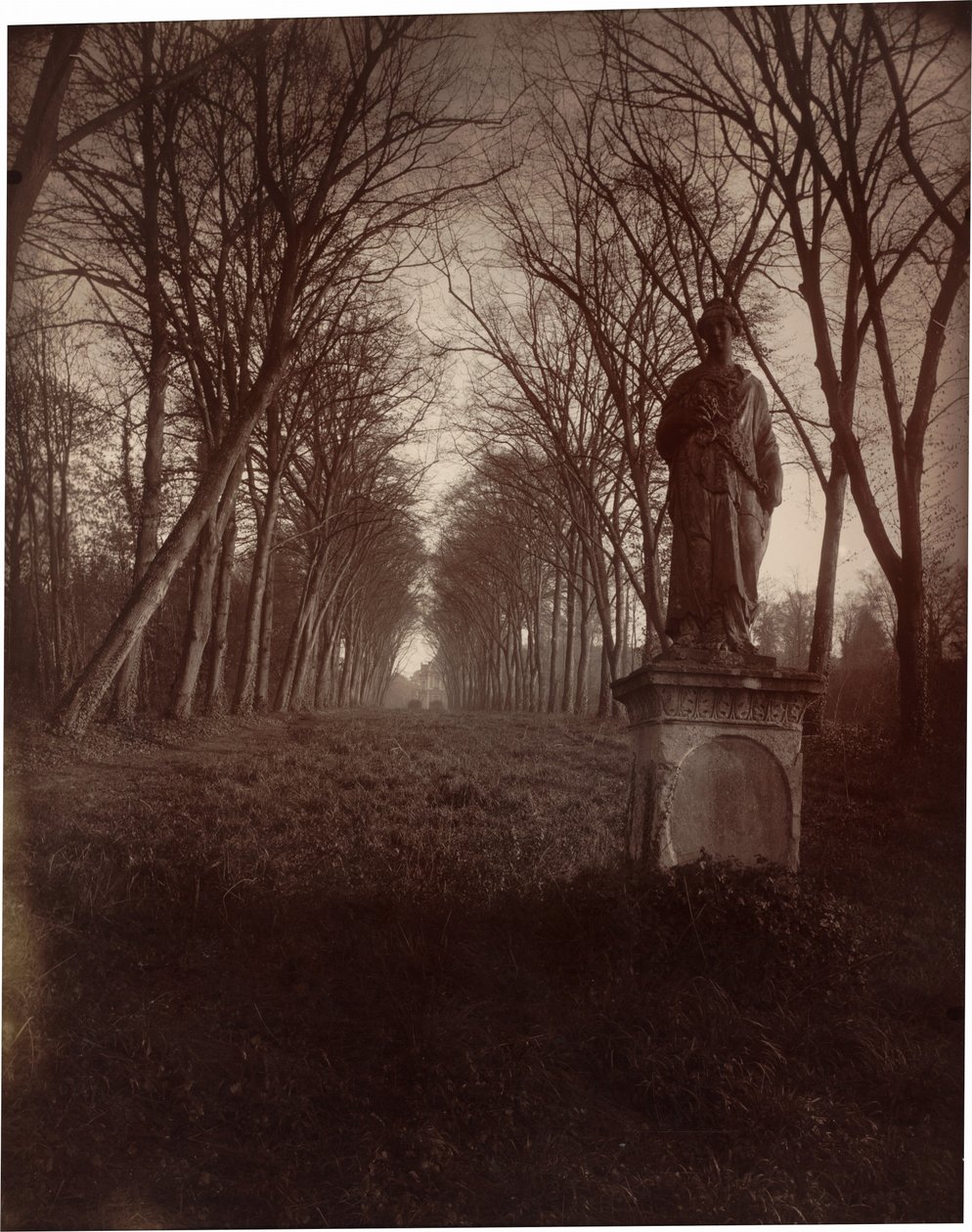 Parc de Sceaux,1925 (foto) door Eugène Atget