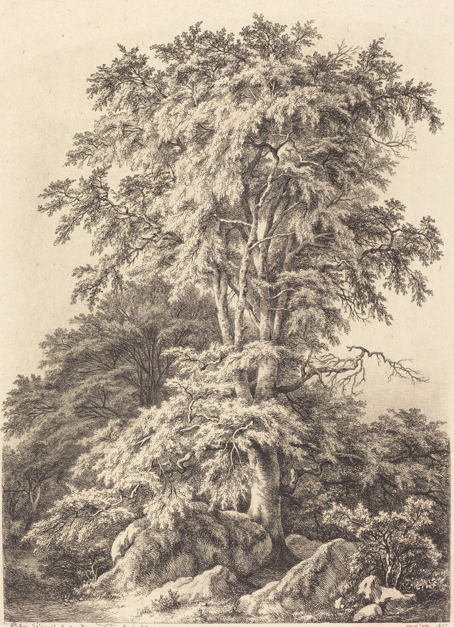 Beukenbos door Eugene Bléry