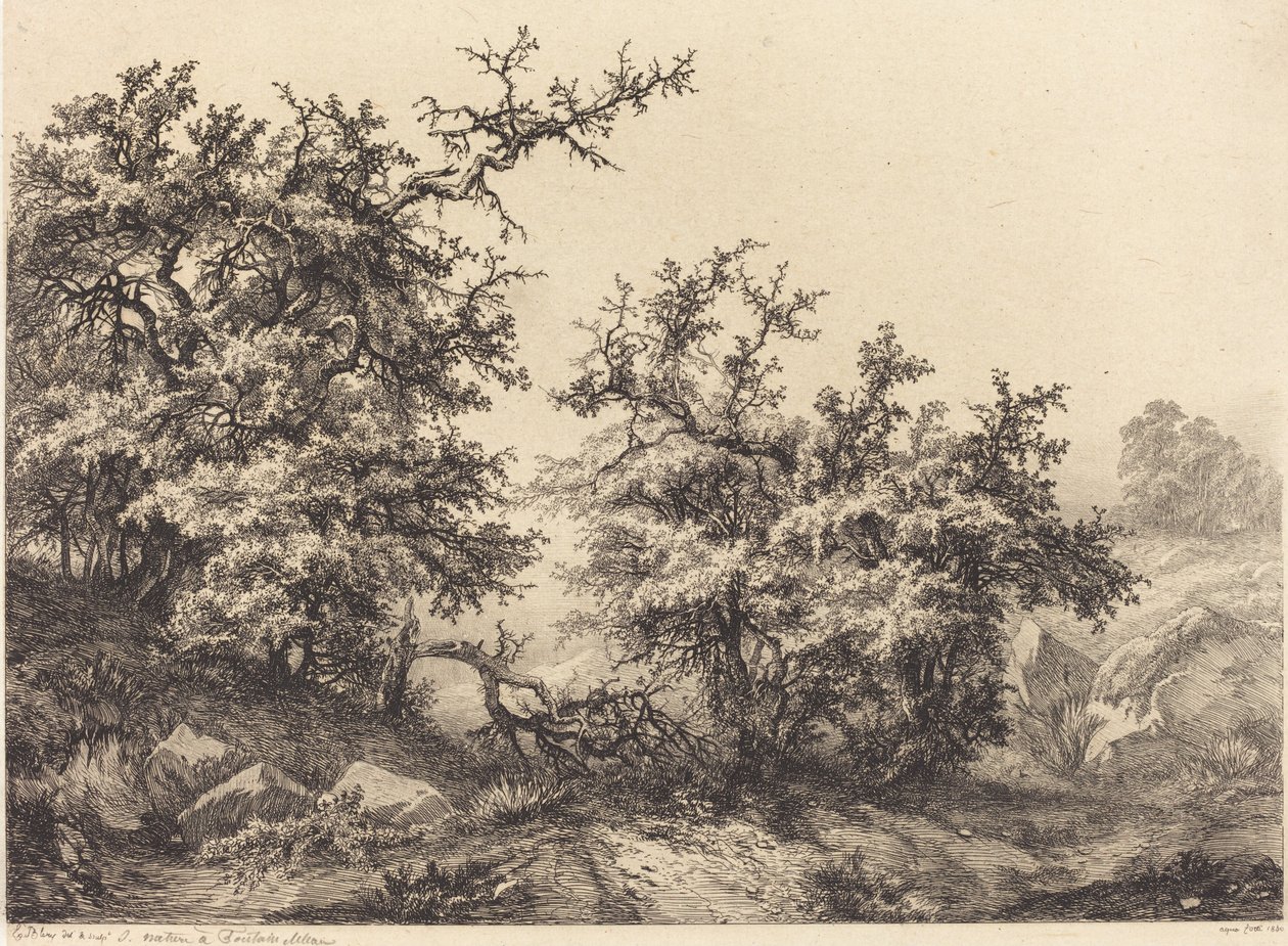 Doornstruiken door Eugene Bléry