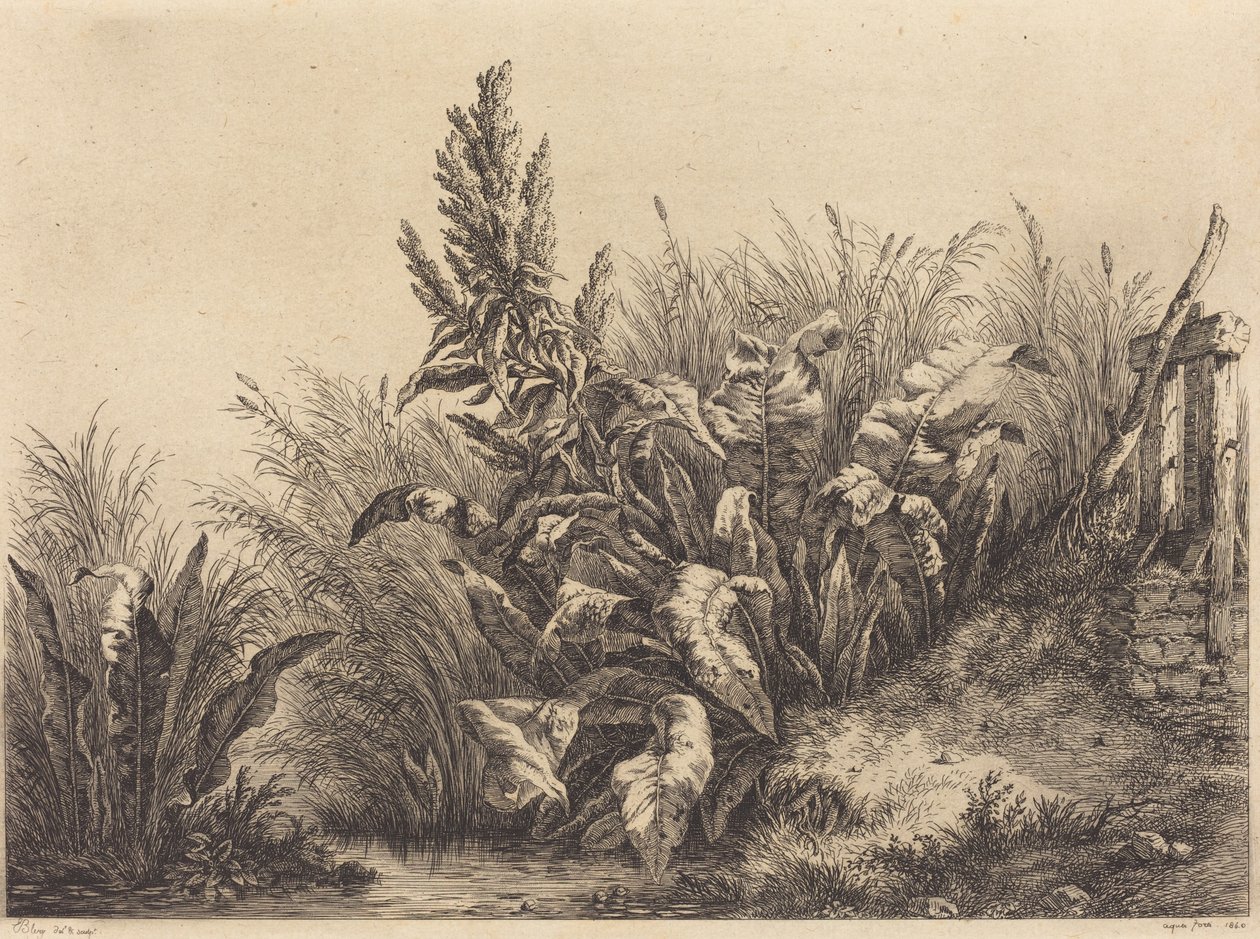 Waterdock door Eugene Bléry