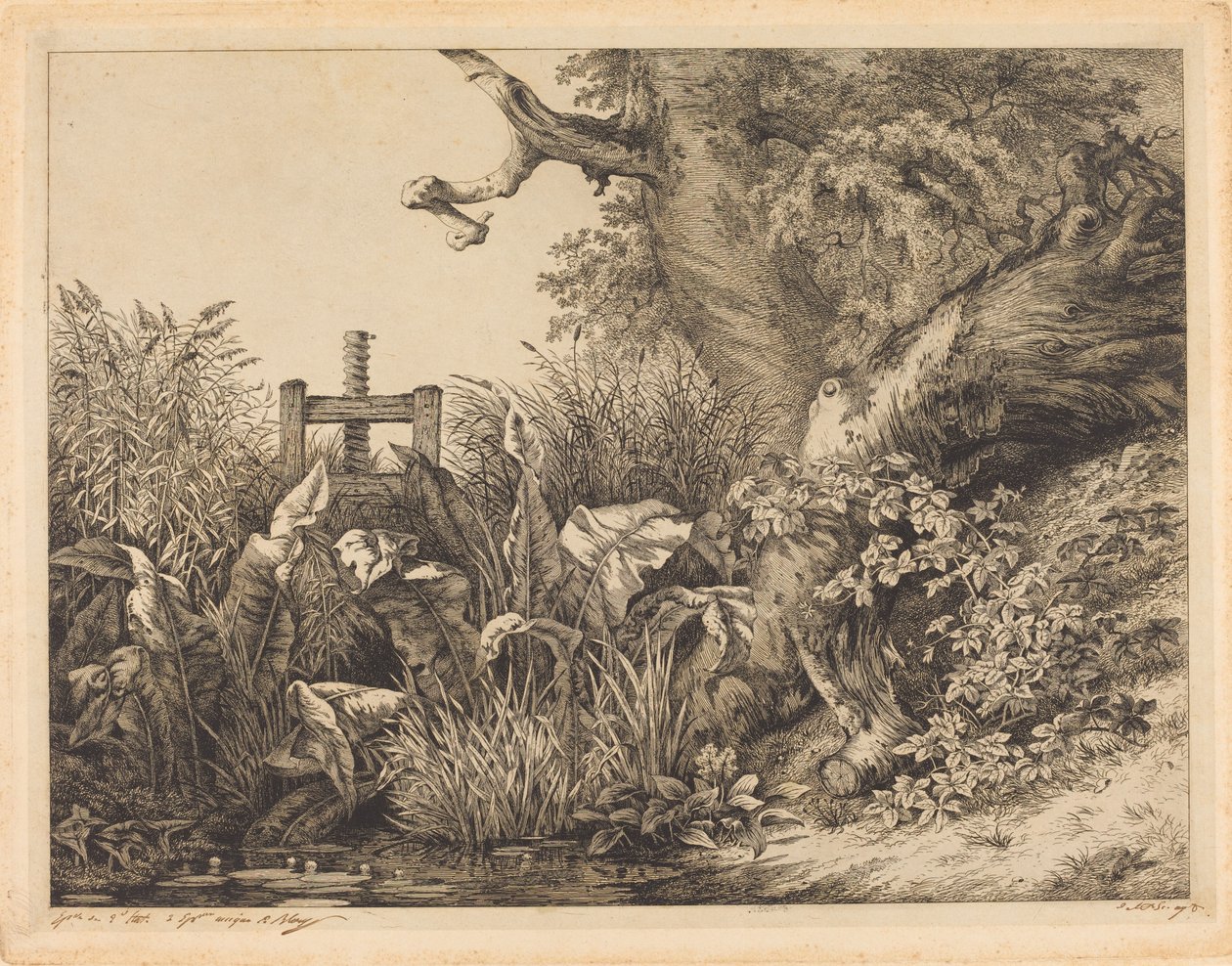 Waterdock en Braamstruiken bij een Sluis door Eugene Bléry
