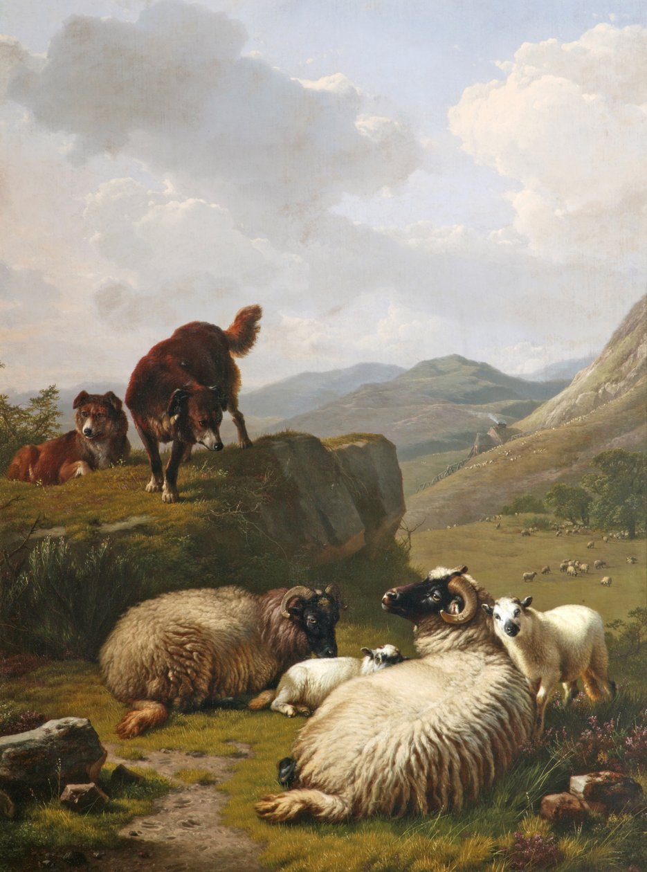 Schapen en Honden door Eugene Joseph Verboeckhoven