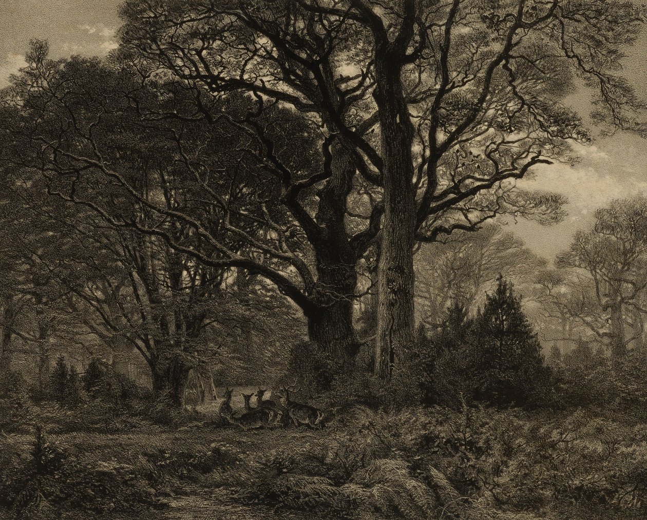 Bos van Fontainbleau door Eugene Leroux