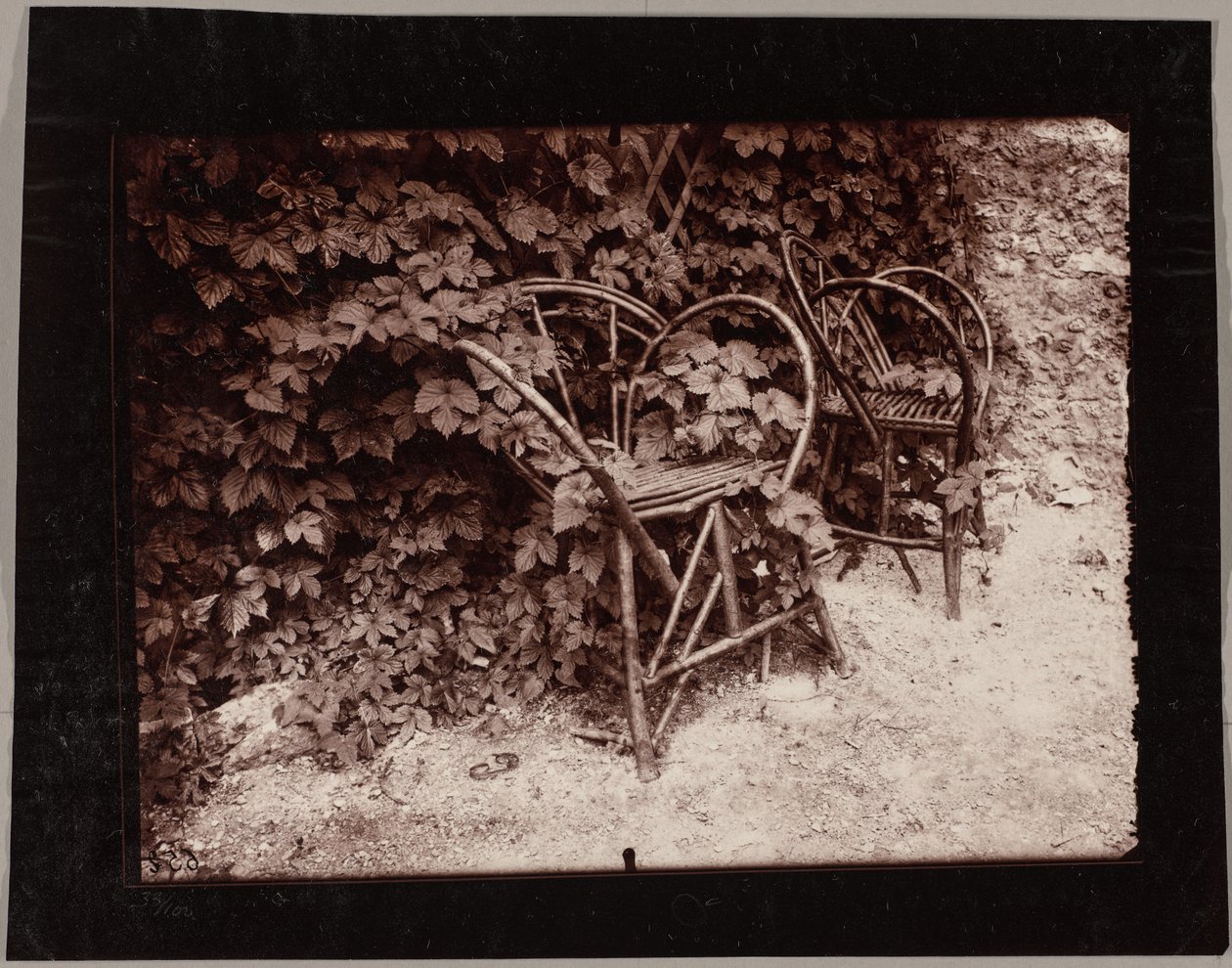 Hop door Eugène Atget