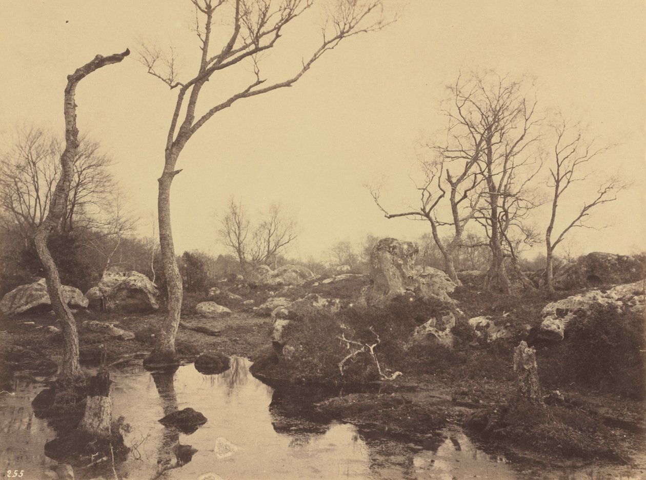 Belle Croix, ca 1858 (foto) door Eugène Cuvelier