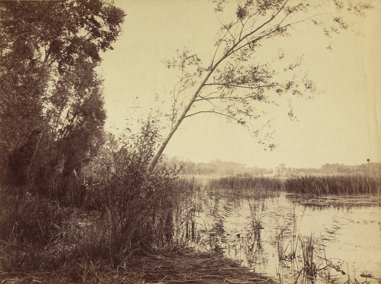 Marais de Fampoux, begin jaren 1860 (foto) door Eugène Cuvelier