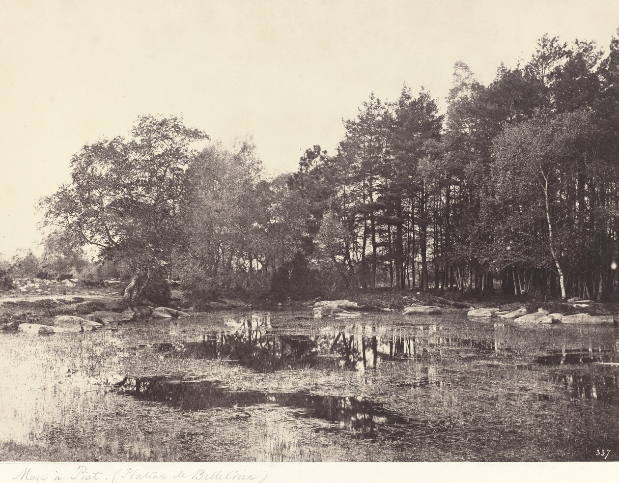 Moeras bij Piat (Belle-Croix Plateau) door Eugène Cuvelier