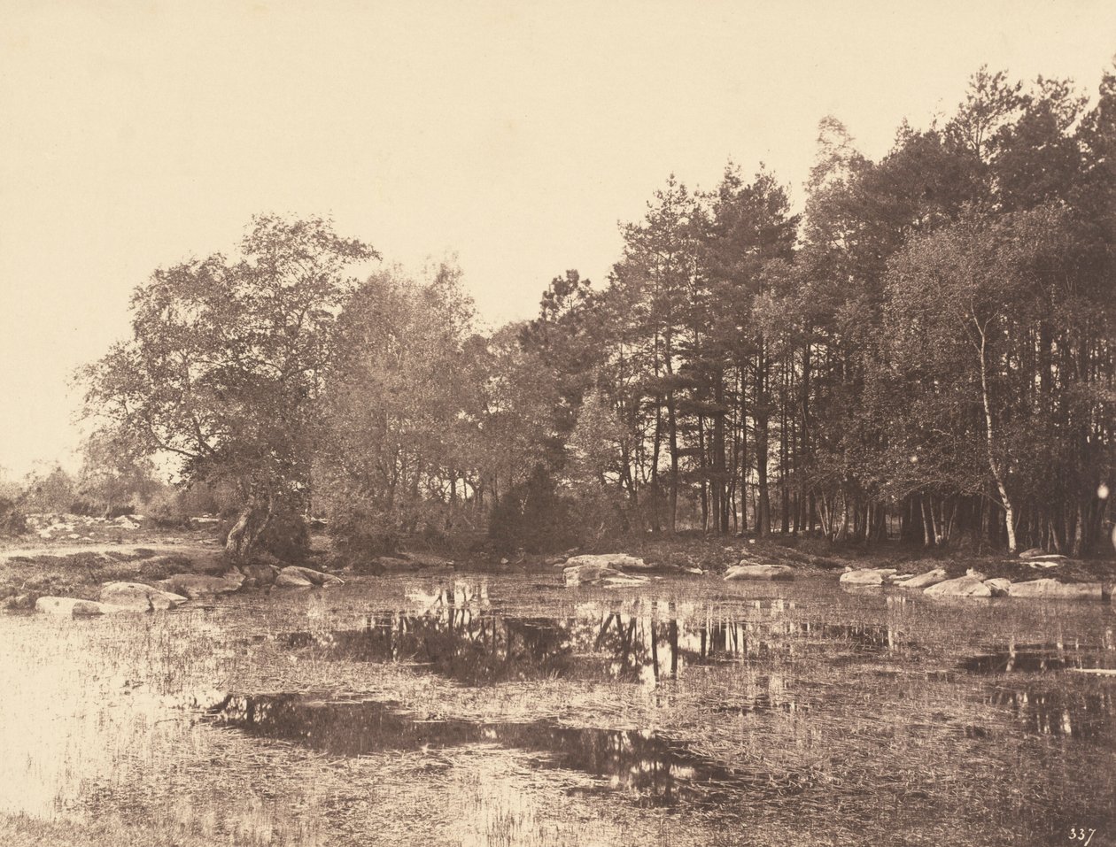 Moeras bij Piat (Belle-Croix Plateau), ca 1863 (foto) door Eugène Cuvelier