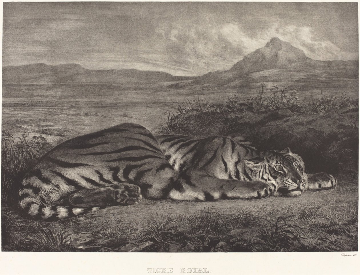 Koninklijke Tijger door Eugène Delacroix