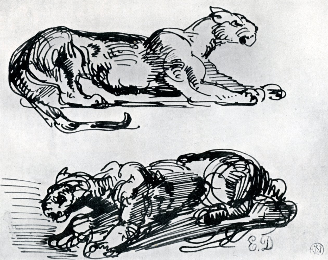 Studies van panters, 1913 door Ferdinand Victor Eugene Delacroix