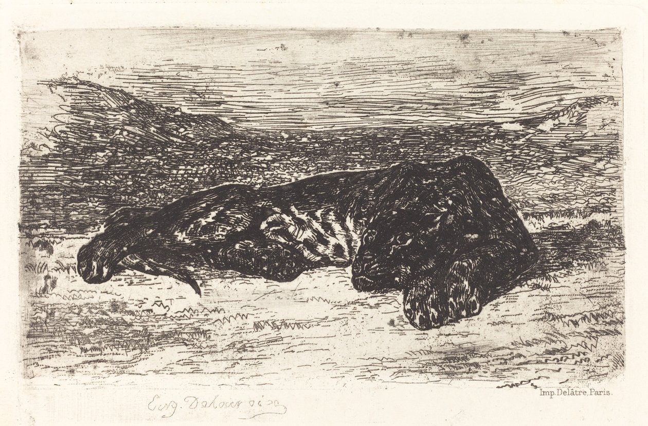 Tijger Slapend in de Woestijn door Eugène Delacroix