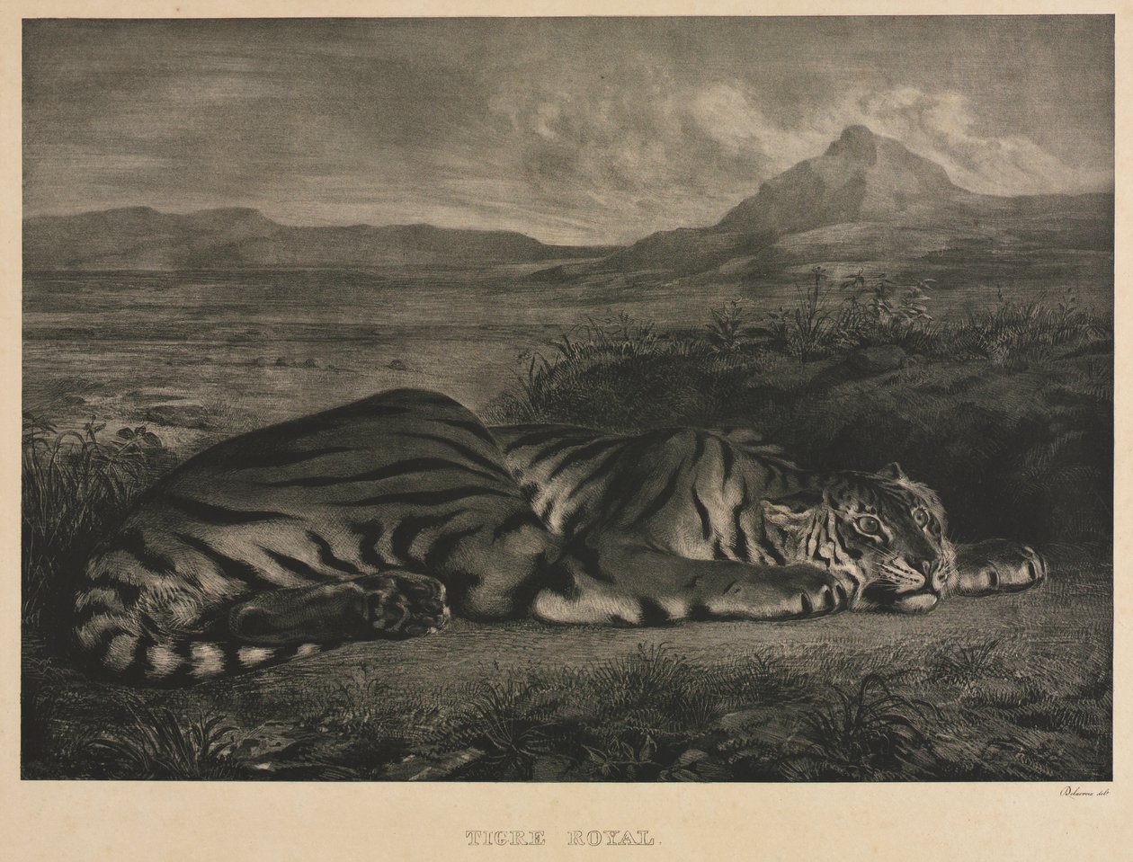 Koninklijke tijger door Eugène Delacroix