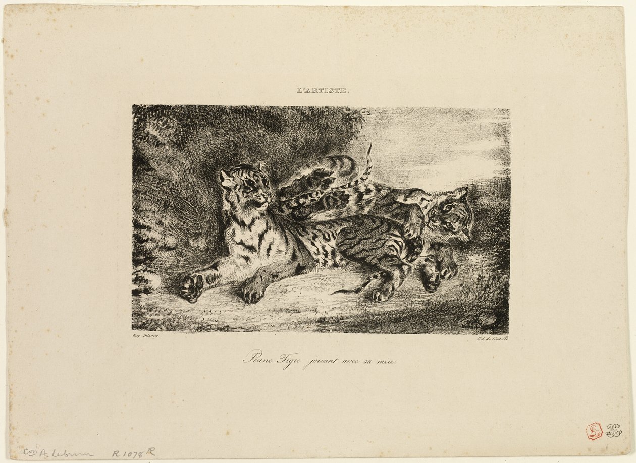 Jonge tijger speelt met zijn moeder door Eugène Delacroix