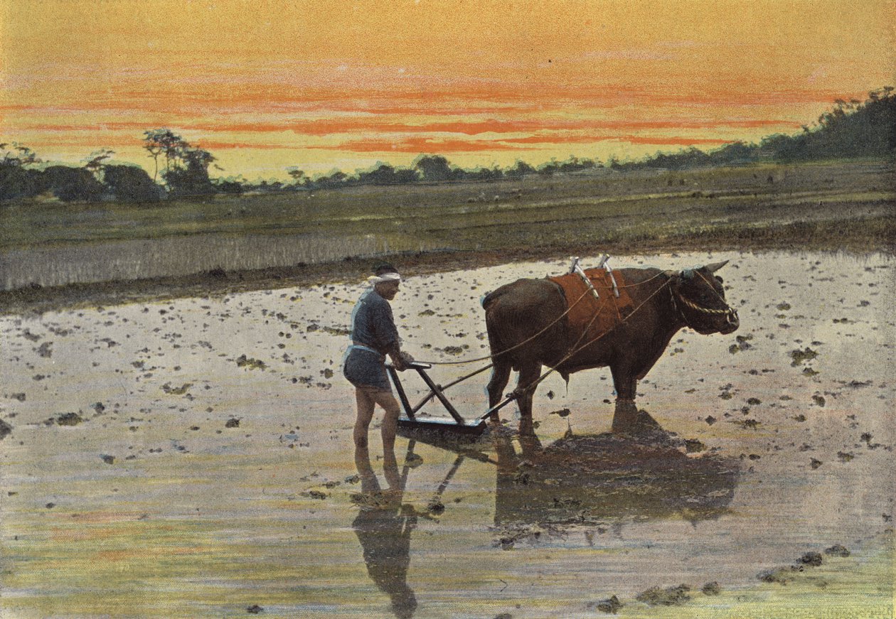 Voorbereiding Van Een Rijstveld In Japan door European Photographer