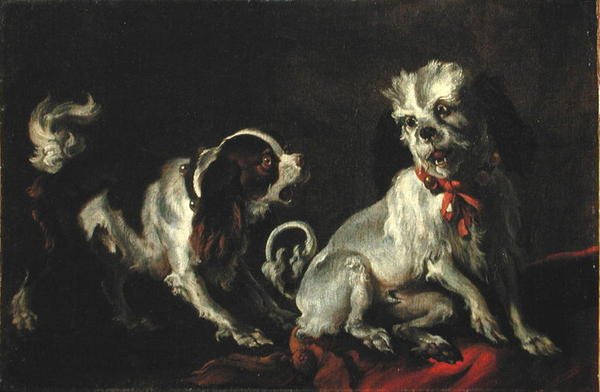 Spelende Honden door European School