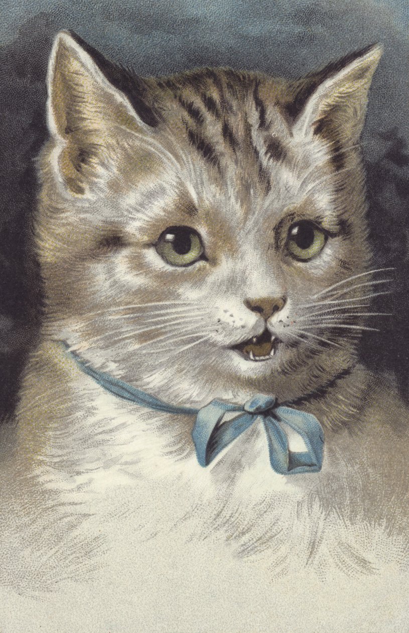 Kat met blauwe kraag (chromolitho) door European School