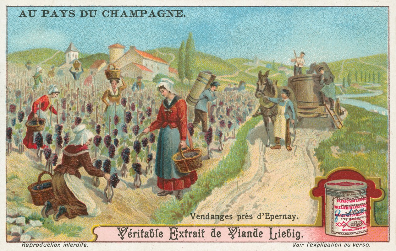 Champagne, Liebig-kaart, begin 20e eeuw (chromo) door European School