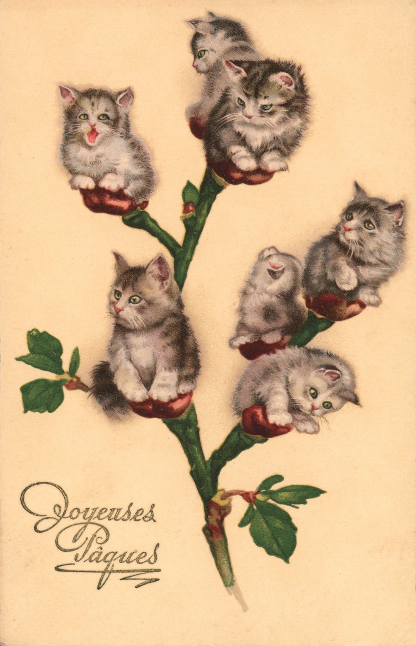 Komische katten, als katjes (kleurenlitho) door European School