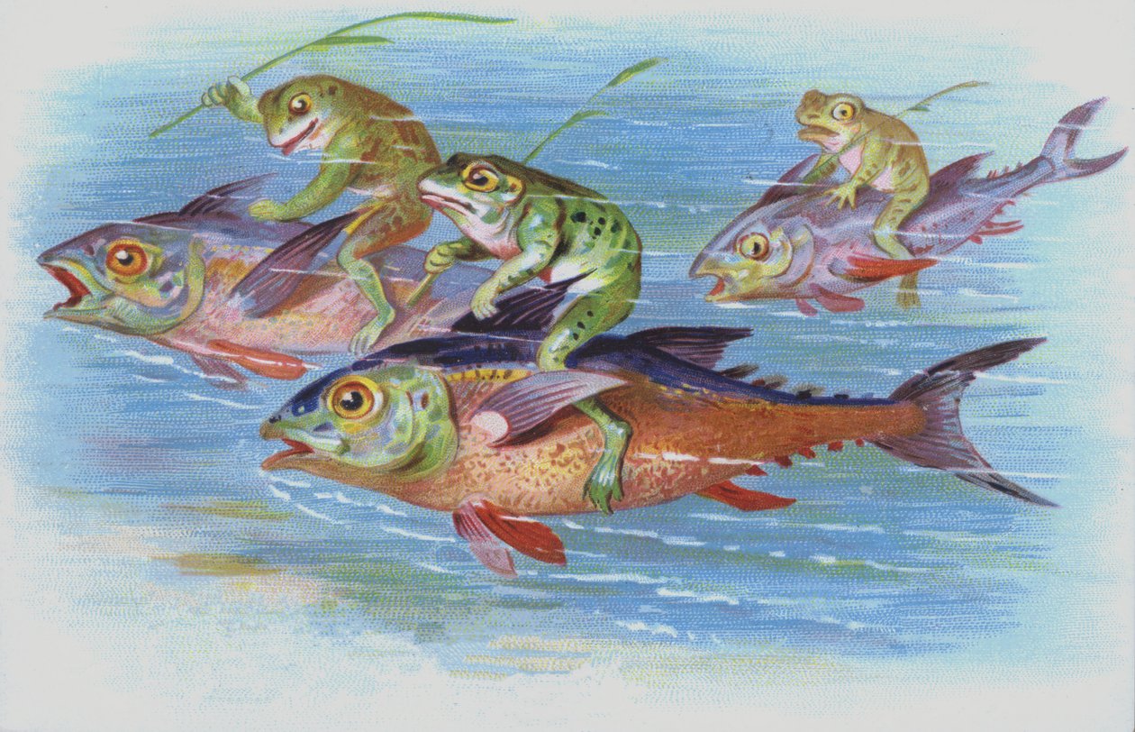 Kikkers die op vissen rijden (chromolitho) door European School