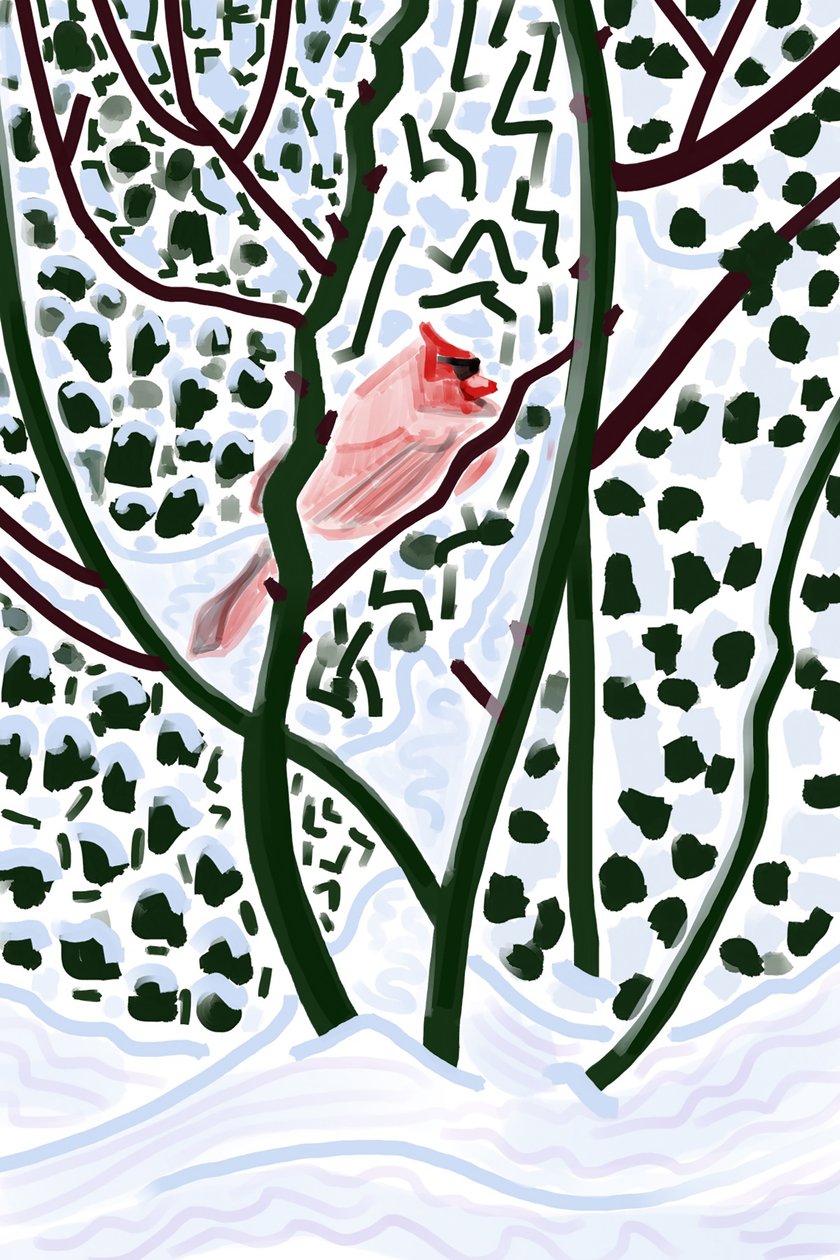 Kardinaal in sneeuw (digitale kunst) door Evan Sklar