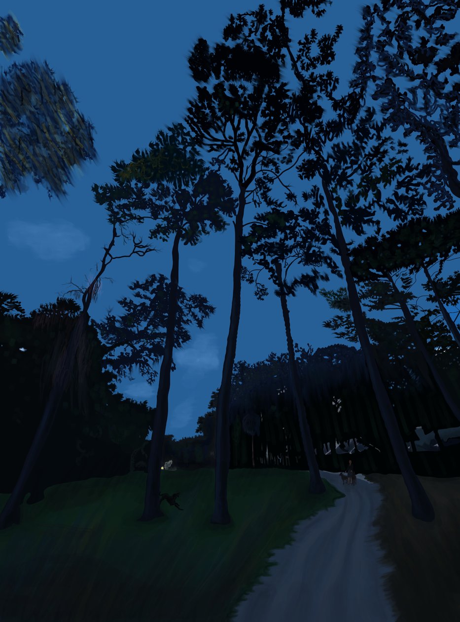 Hondenwandeling bij zonsondergang (digitale kunst) door Evan Sklar