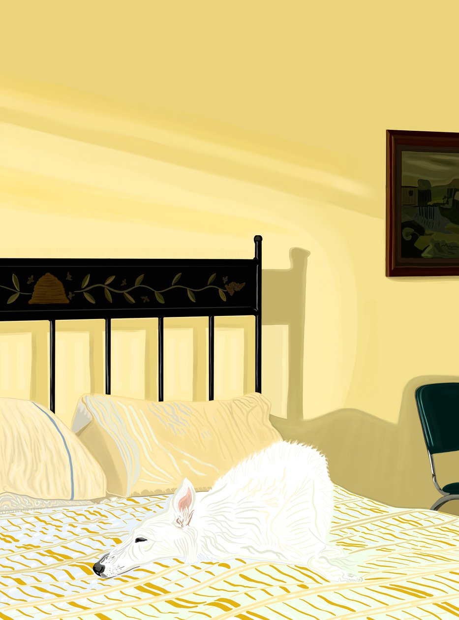 Hond rustend op bed, c.2020-24 (digitale kunst) door Evan Sklar