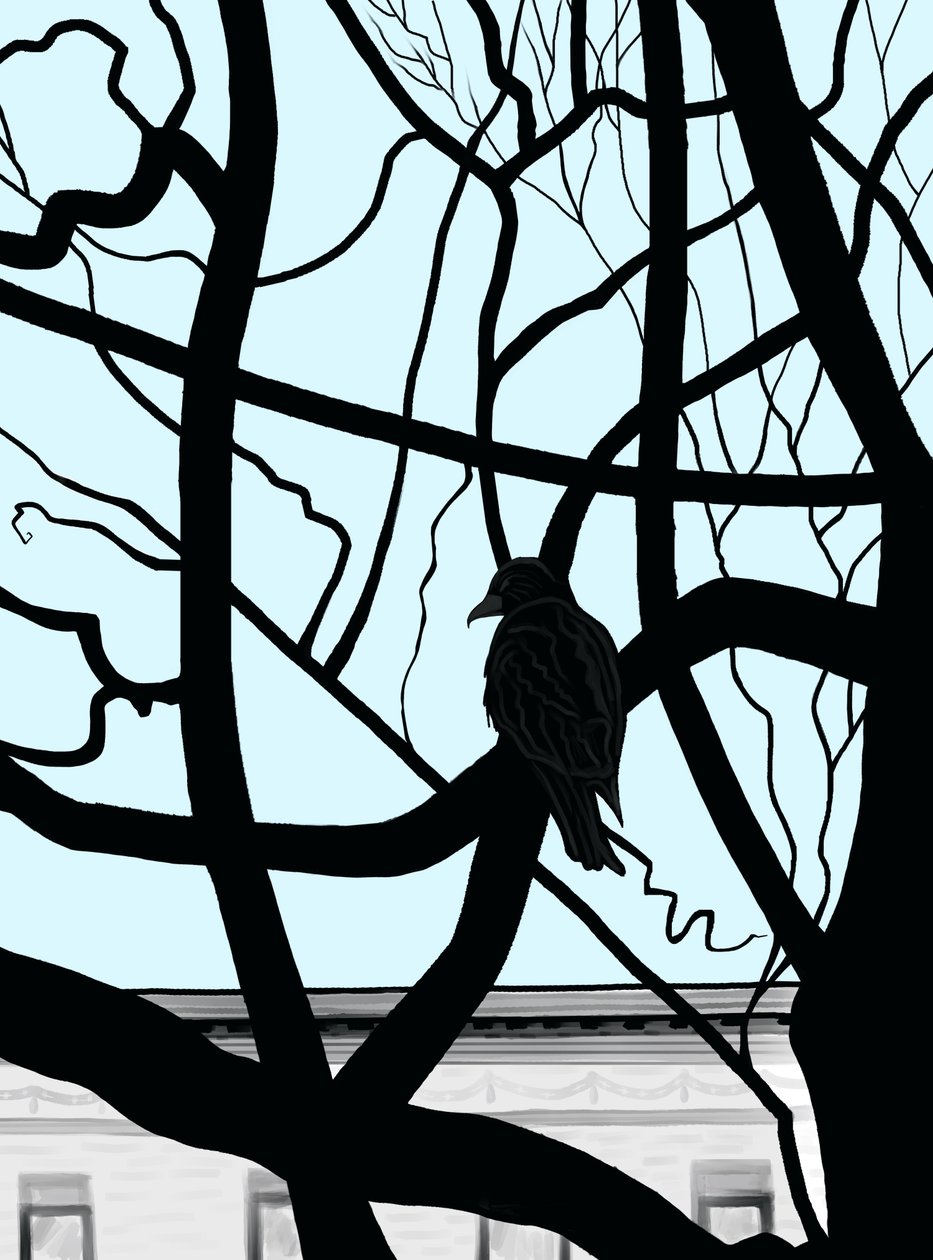 Havik op tak in stad (digitale kunst) door Evan Sklar