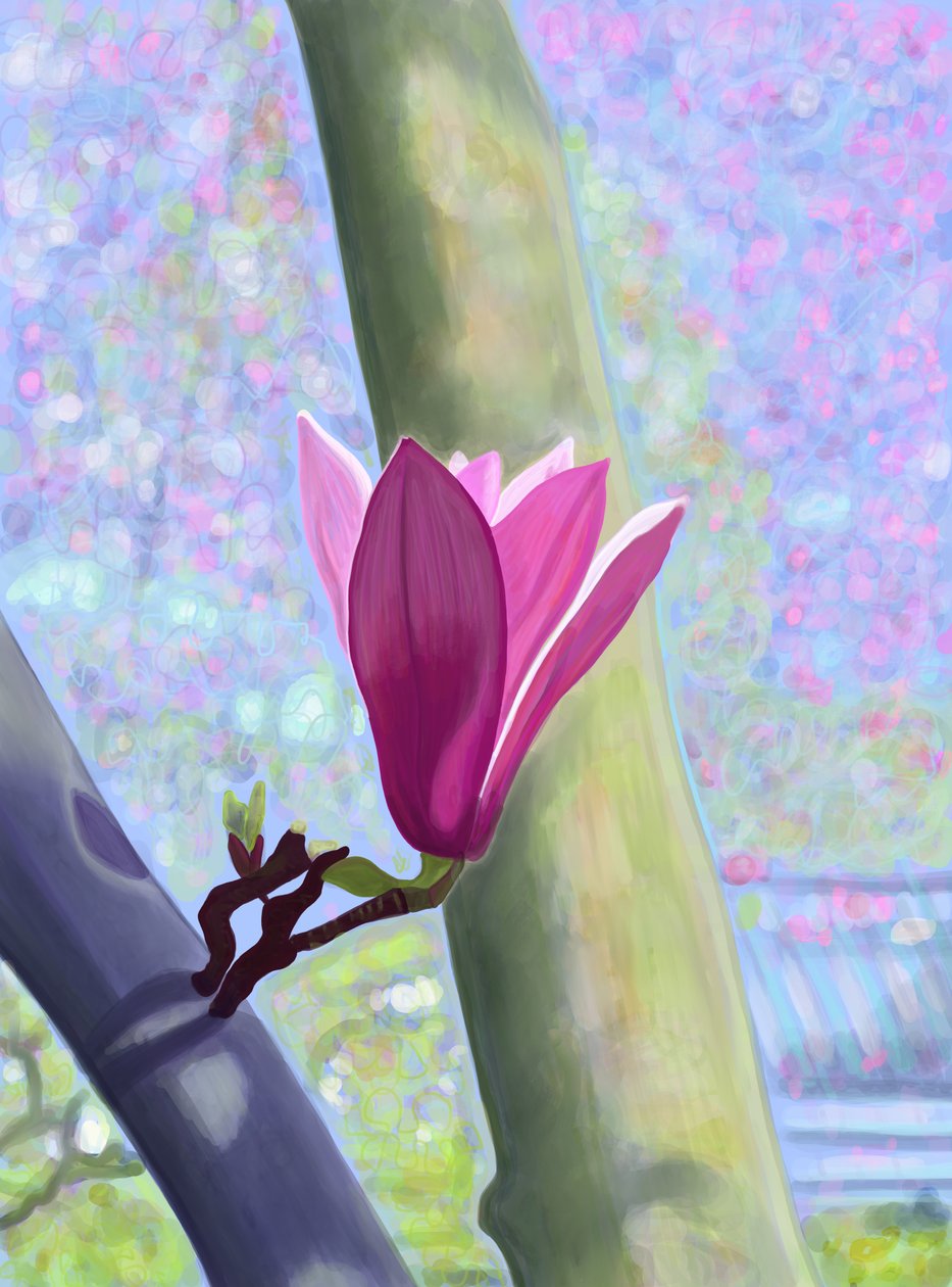 Magnolia Blossom (digitale kunst) door Evan Sklar