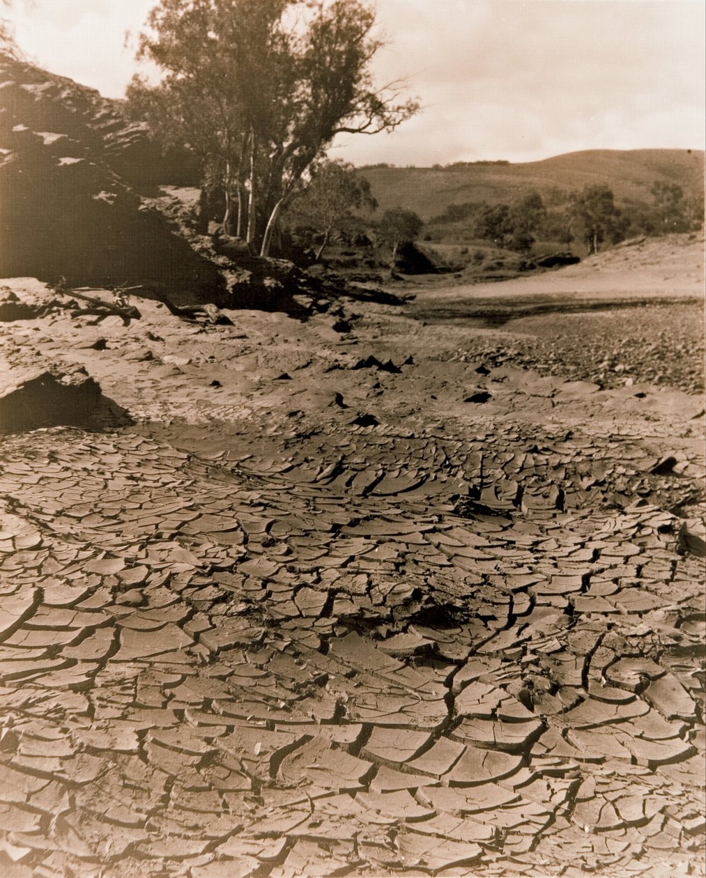 Het verdwenen zwembad, Flinders Ranges door F. A. Joyner