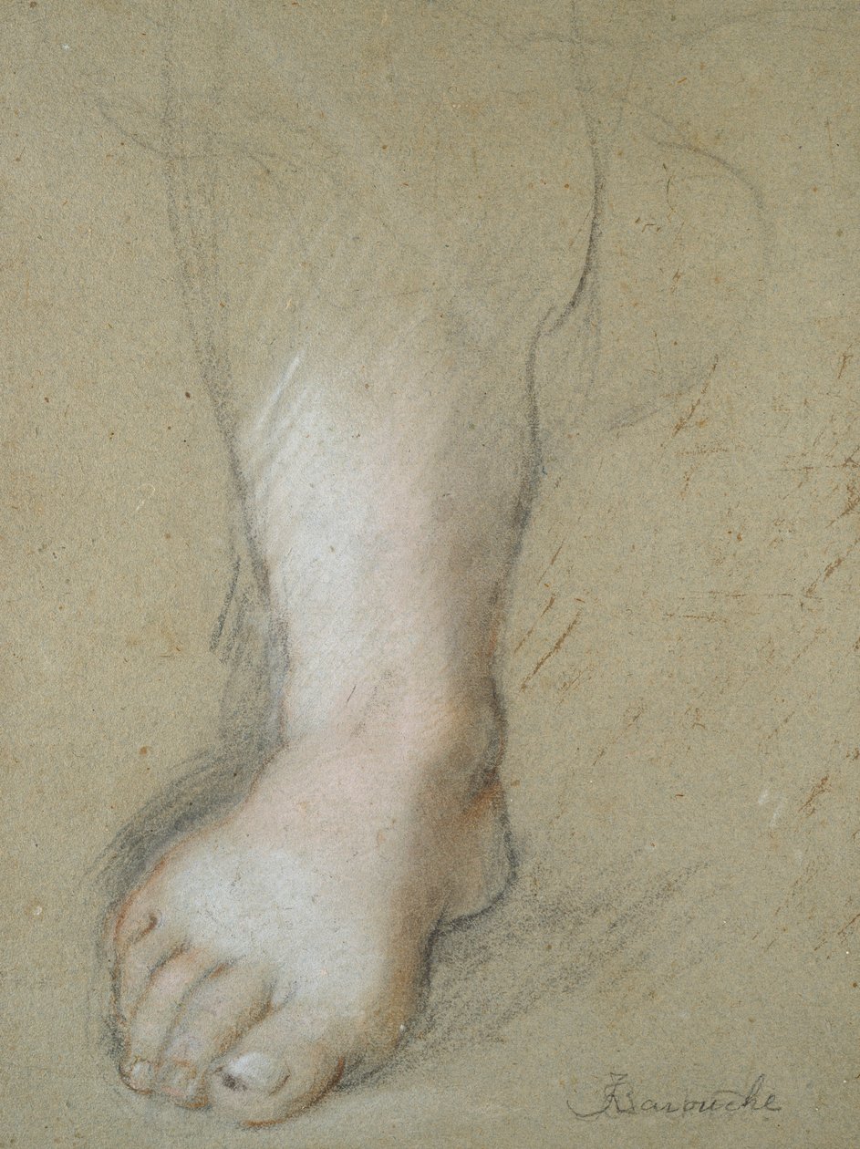 Studie van een voet, late 16e eeuw door Federico Barocci