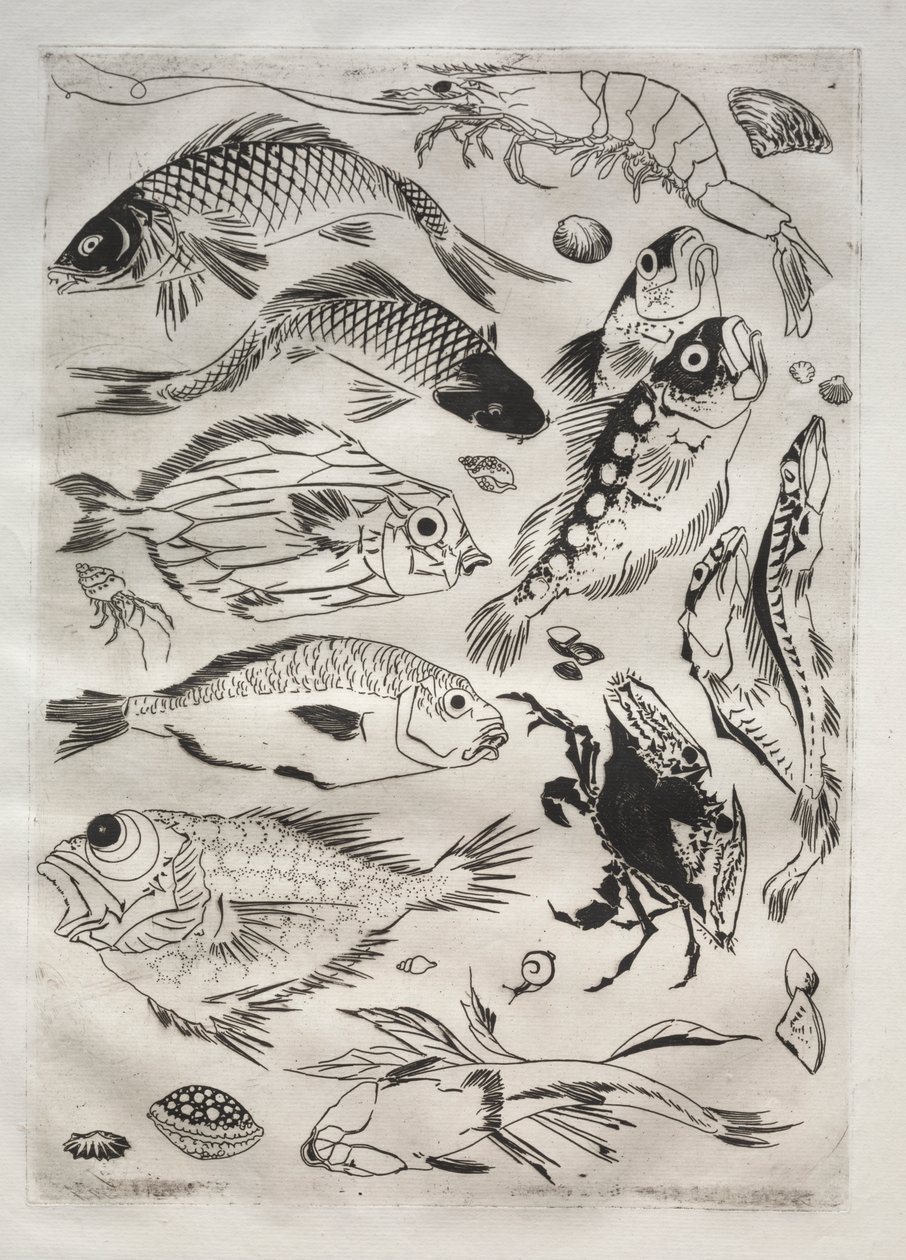 Dinerservies (Rousseau-servies): Vis (nr. 24) door Felix Bracquemond