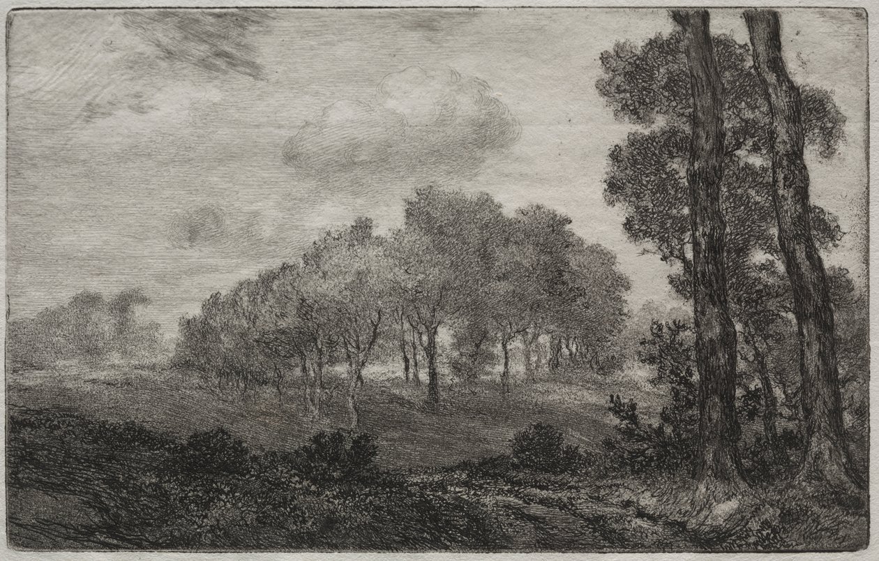 Landschap, naar Français door Felix Bracquemond