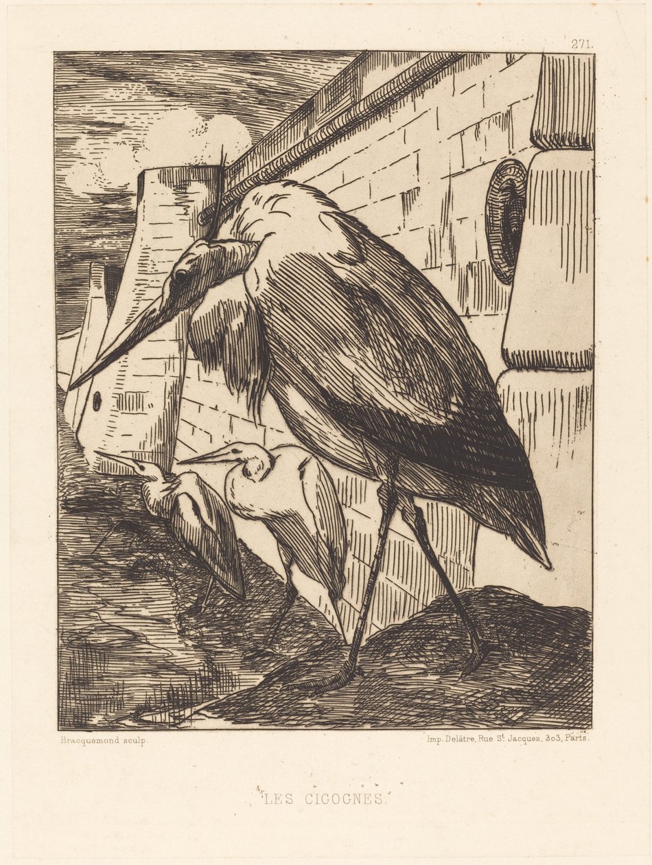 De Ooievaars door Felix Bracquemond