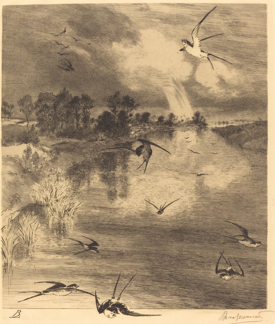 De Zwaluwen door Felix Bracquemond