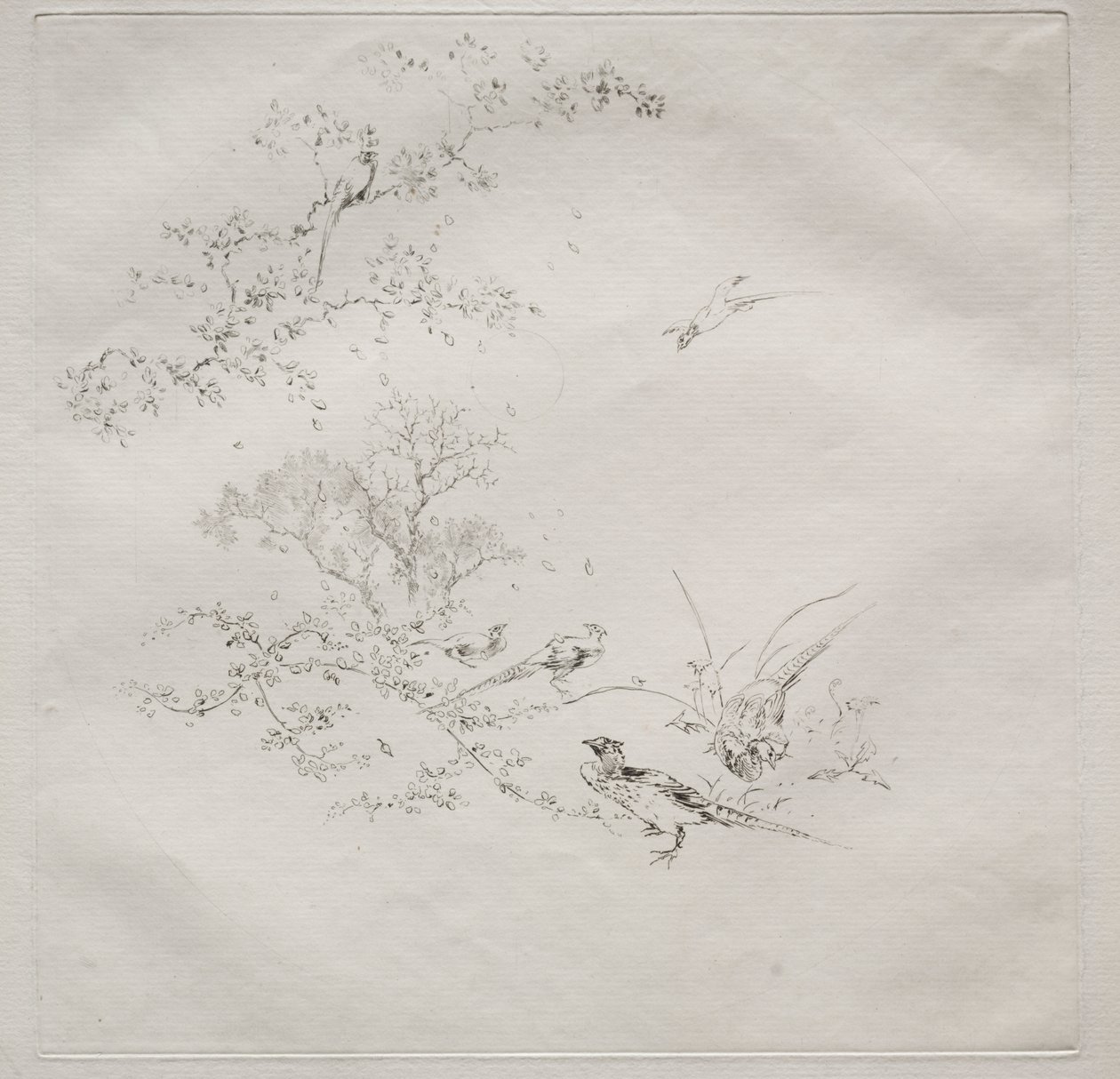 Parijse dienst (Haviland dienst): Mist (nr. 1) door Felix Bracquemond