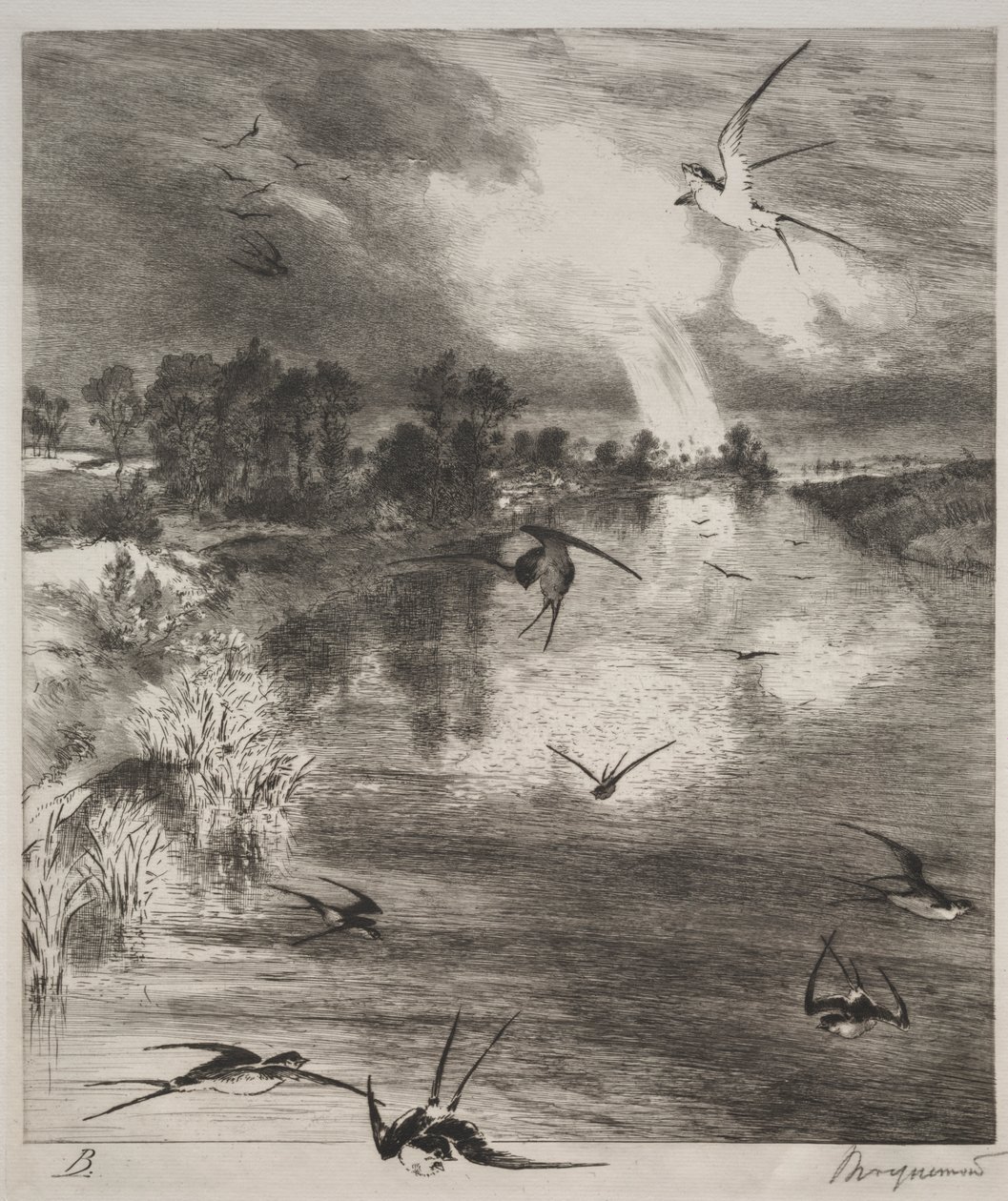 Zwaluwen door Felix Bracquemond