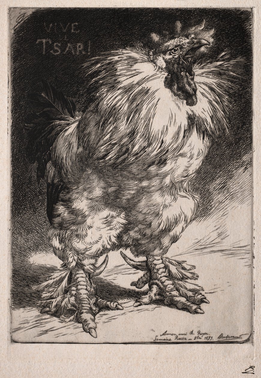 De Franse haan door Felix Bracquemond