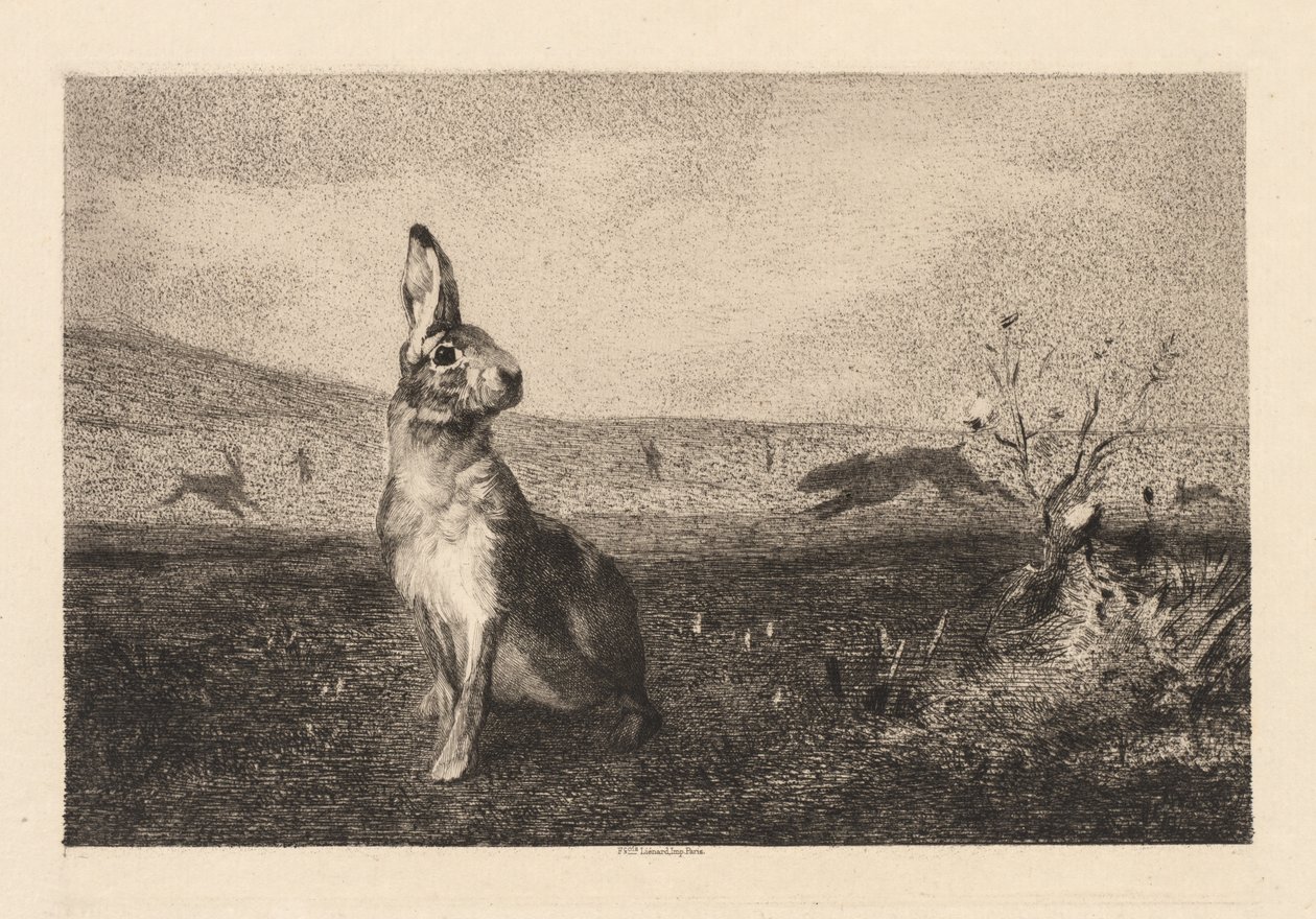 De haas door Felix Bracquemond