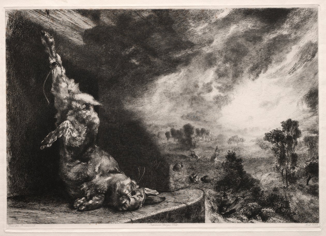 Het grote konijn, 1891, gedrukt 1894 door Felix Bracquemond