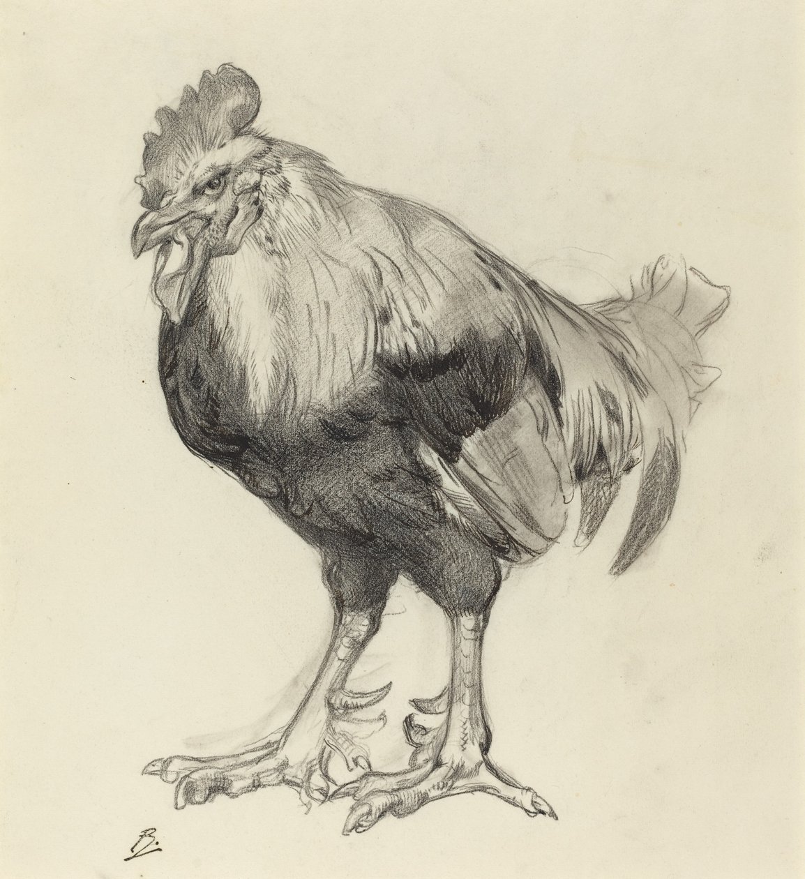 De oude haan door Felix Bracquemond