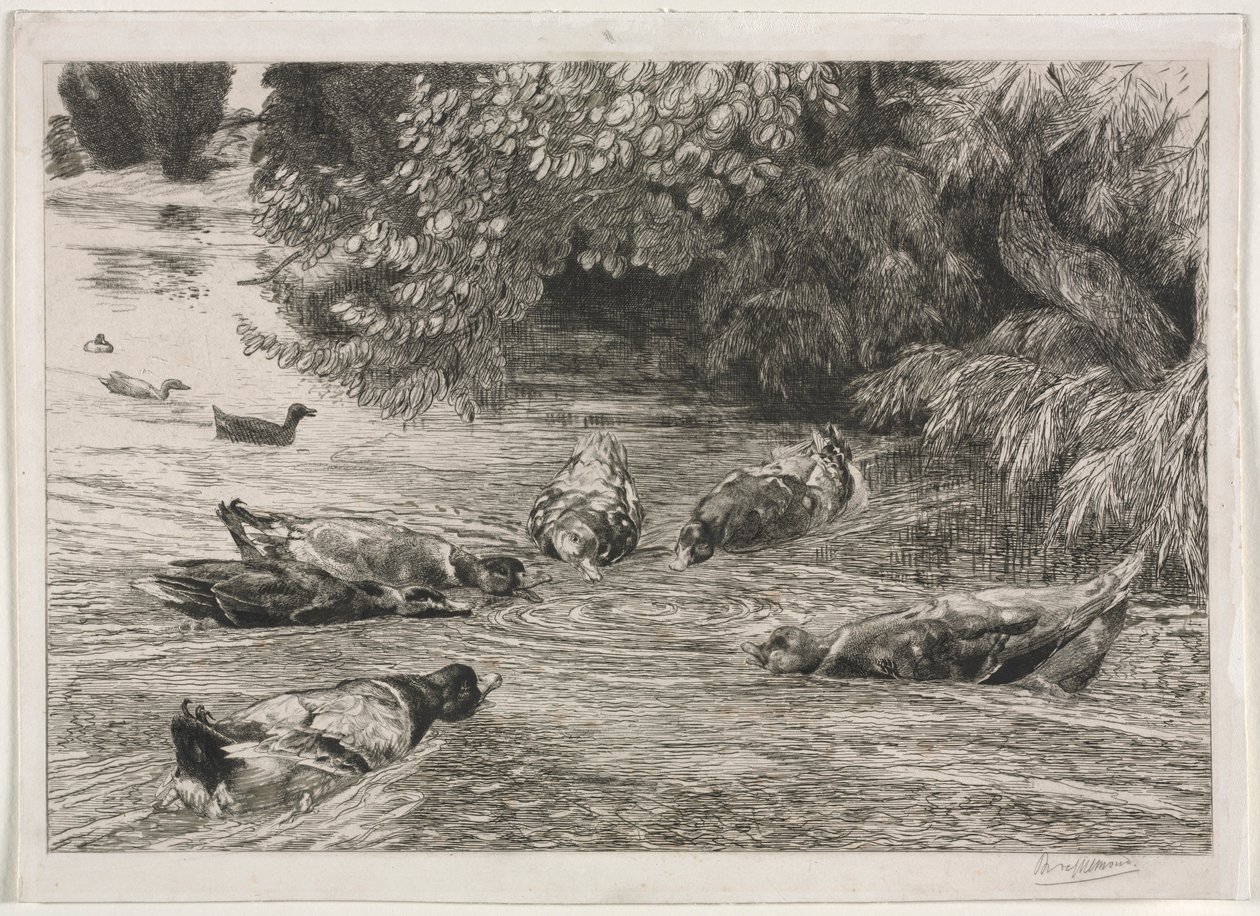 Het vraagteken door Felix Bracquemond